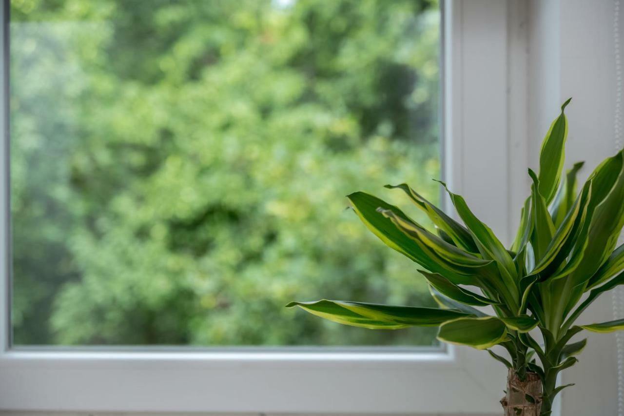 Apartman Lucia Rijeka Buitenkant foto